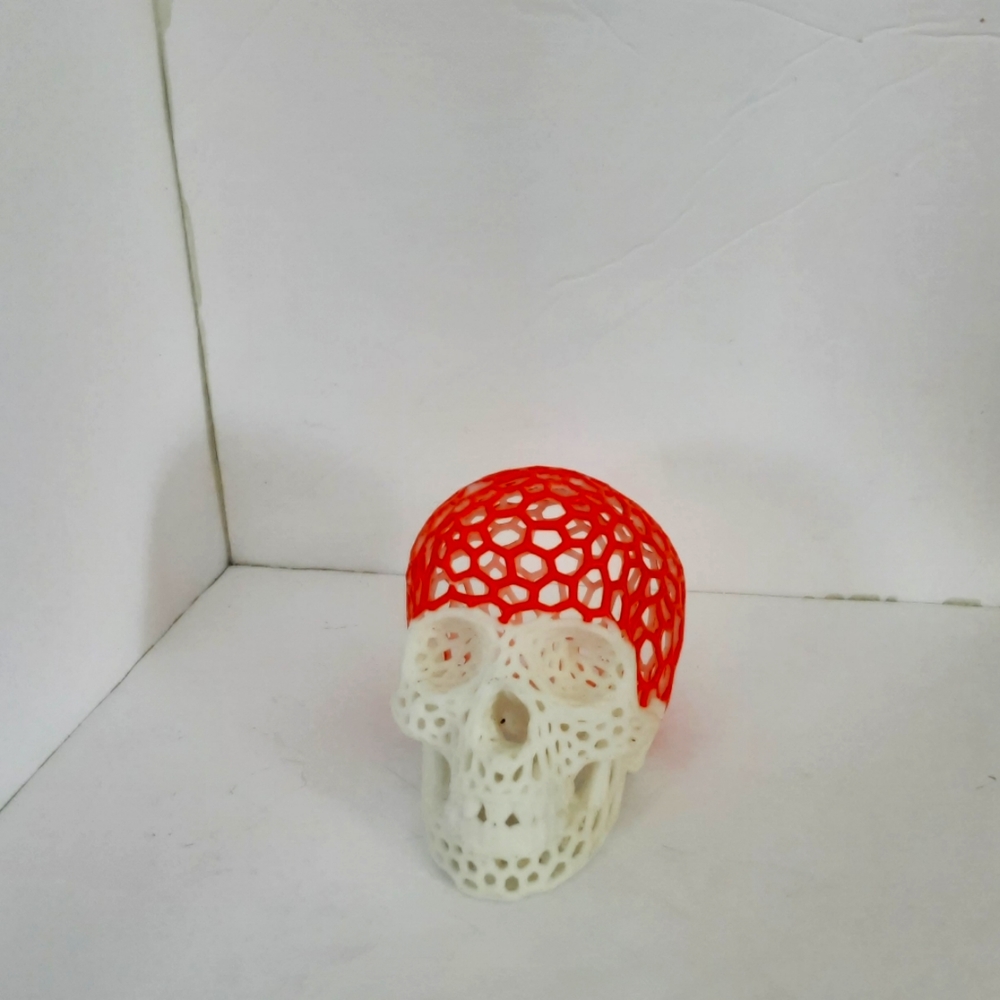 Skull